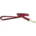 Kentucky Nylon Plaited Hundebånd 15 Mm
