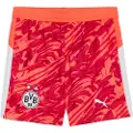Puma Borussia Dortmund 25/26 Goalkeeper Shorts Youth, Clothing, Glowing Red/Silver Mist, 5-6Y