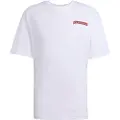 Adidas Originals Graphic Loose Kortarmet T-skjorte