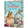 Thienemann Dr. Brumm: Dr. Brumm baut ein Haus