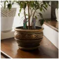 Thumbs Up Tommel opp Mad Monkey - Zombie Hands for the Flowerpot
