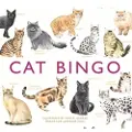 Orion Publishing Cat Bingo
