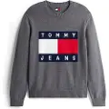 Tommy Hilfiger Dm0dm22105 Genser