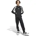 Adidas Seasonal Essentials Colorblock Joggers