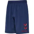 Hummel Pro Xk Training Shorts