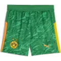 Puma Borussia Dortmund 25/26 Goalkeeper Shorts Youth, Clothing, Archive Green/Intense Orange, 9-10Y