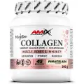 Amix Viscofan 300g Kollagen Piña Colada