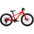 Specialized Riprock 20´´ Acolyte 2026 Terrengsykkel