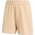 Adidas Future Icons Small Logo Shorts