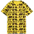 Puma Borussia Dortmund Pre-match Jersey Youth, Clothing, Faster Yellow/Black, 7-8Y