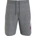 Tommy Hilfiger Essentials Sports Shorts
