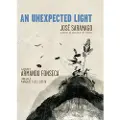 Seven Stories Press An Unexpected Light