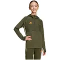 Adidas Tiro 25 Essentials Winterized Training Hettegenser
