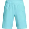 Under Armour Tech Woven Wordmark Shorts