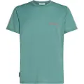 Icebreaker Merino 150 Tech Lite Ib Wordmark Kortarmet T-skjorte