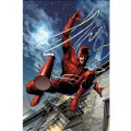 Marvel Comics DAREDEVIL MODERN ERA EPIC COLLECTION: KING OF HELL'S KITCHEN