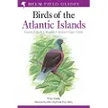 BLOOMSBURY Field Guide to the Birds of the Atlantic Islands