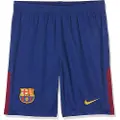 Nike Dri-fit Academy 20 Pro Genser Med Hel Glidelås