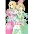 Little, Brown and Company The Holy Grail of Eris, Vol. 5 (manga)