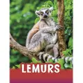 Capstone Global Library Ltd Lemurs - Jaycox, Jaclyn