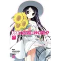 Little, Brown and Company Accel World, Vol. 3 (Novel)