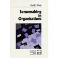 Sage Sensemaking in Organizations