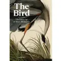 Orion Publishing The Bird
