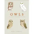 Ebury Publishing Owls - Sewell, Matt