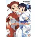 Little, Brown and Company Accel World, Vol. 25 (light novel)