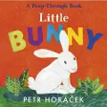 Walker Books Little Bunny