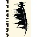 BASIC BOOKS Feathers - Hanson, Thor