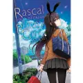 Little, Brown and Company Rascal Does Not Dream of Bunny Girl Senpai (manga)