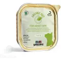 Specific Feline F-bio-w Organic Fisch Box 8x100g Kattemat