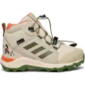 Adidas Terrex Disney Mid Goretex Tursko