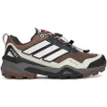 Adidas Terrex Skychaser Goretex Tursko
