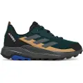 Adidas Terrex Anylander Tursko
