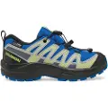 Salomon Xa Pro V8 Wp Tursko