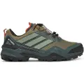 Adidas Terrex Skychaser Goretex Tursko