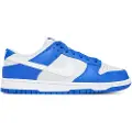 Nike Dunk Low Treningssko