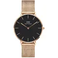 Daniel Wellington Classic Petite Melrose 36mm Dameklokke