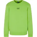 Emporio Armani Train Core Id Br Collegegenser