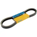 DAYCO Honda Foresight 250cc 23100kfg641 Transmisjonsrem