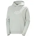 Helly Hansen Core Graphic Hettegenser