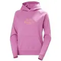 Helly Hansen Core Graphic Hettegenser