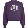 Adidas Seasonals Essentials Collegiate Typography Crewneck Collegegenser