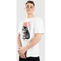Arbor Kitten T-skjorte hvit