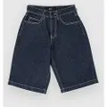 Blue Tomato Skate Kids Shorts blå