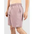 Oakley Clear Lake 18"Volley Boardshorts