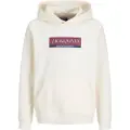 Jack & Jones Inwood Block Hettegenser