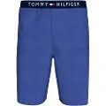 Tommy Hilfiger Um0um03578 Sports Shorts